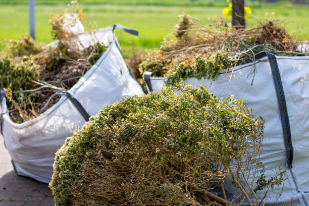 Best Office Cleanout  in Hauser, ID